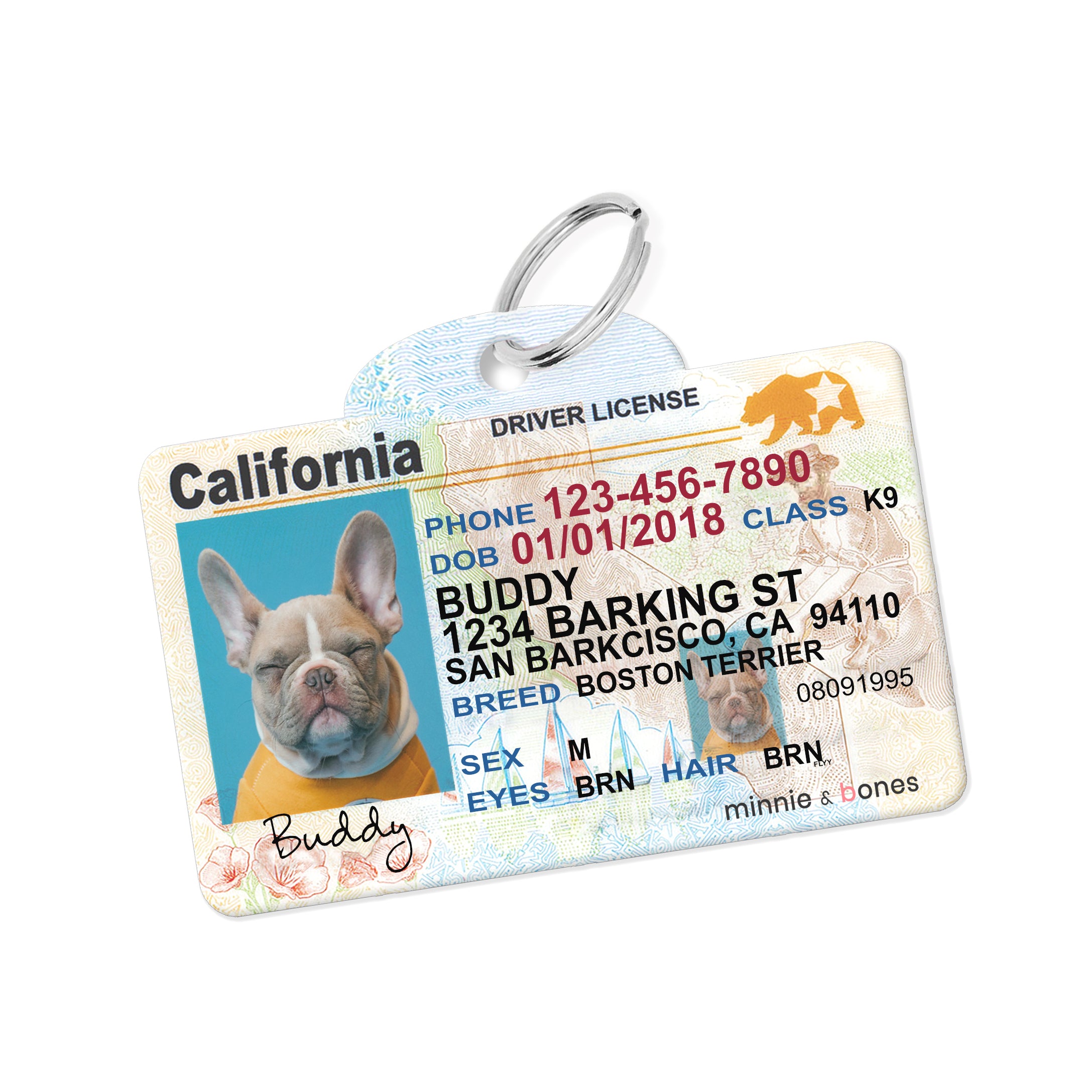 Louisiana Driver License Custom Pet ID Tag and Wallet Card - 1 Cute Pooch