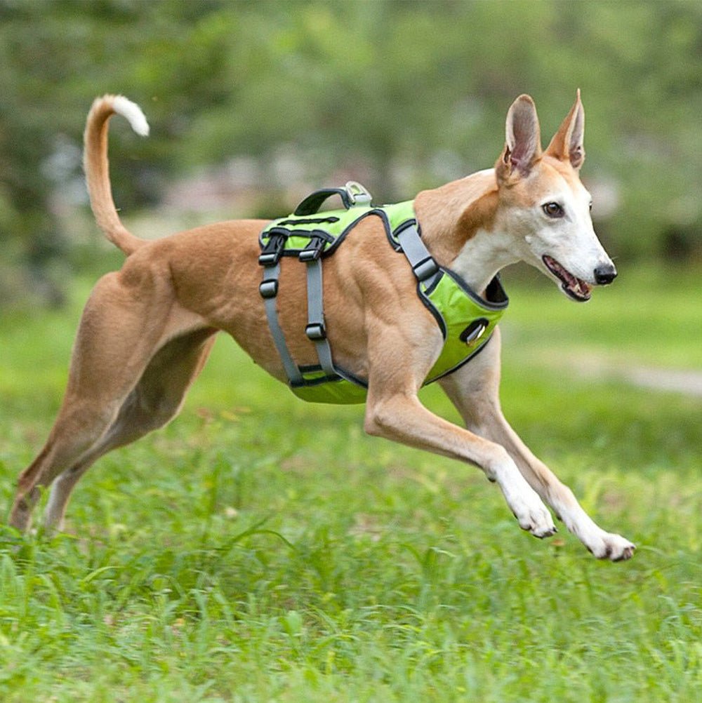 AdventureHarness™ - Outdoor Water-Resistant Dog Harness - The Barking Mutt