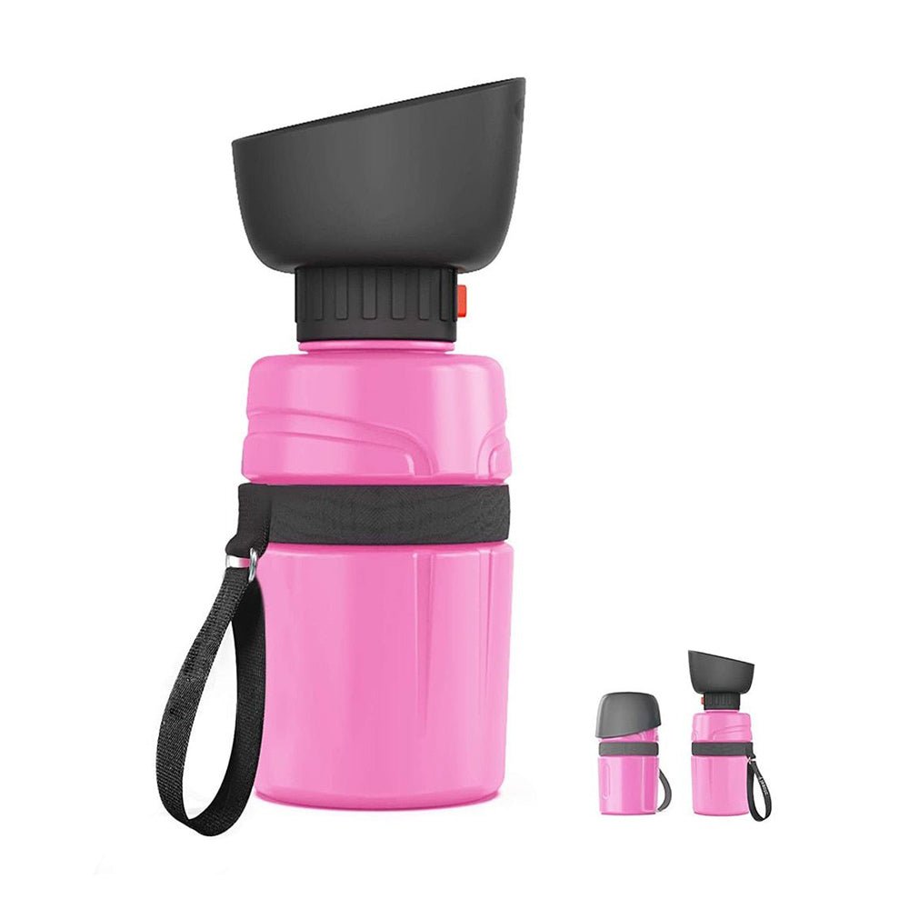 Aqua dog water outlet bottle