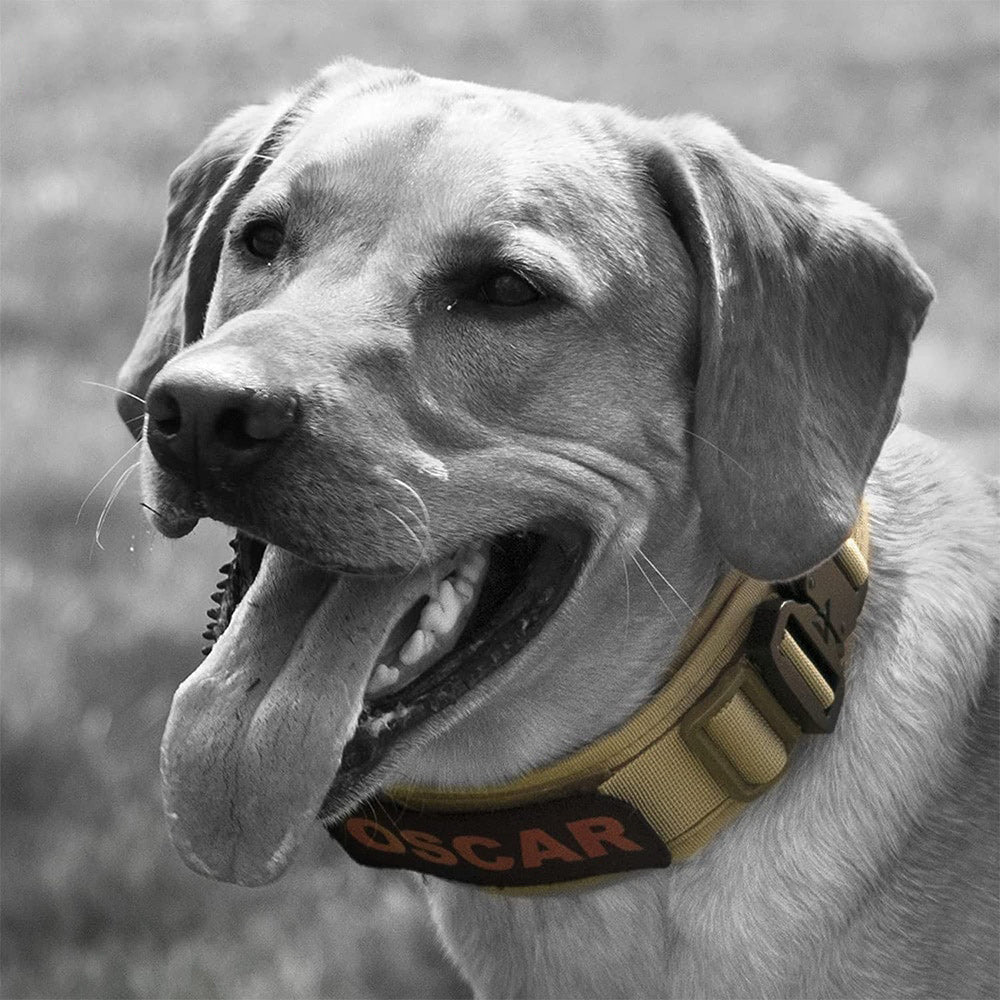 BallisticCollar™ - Tactical Collar for Large Dogs - The Barking Mutt