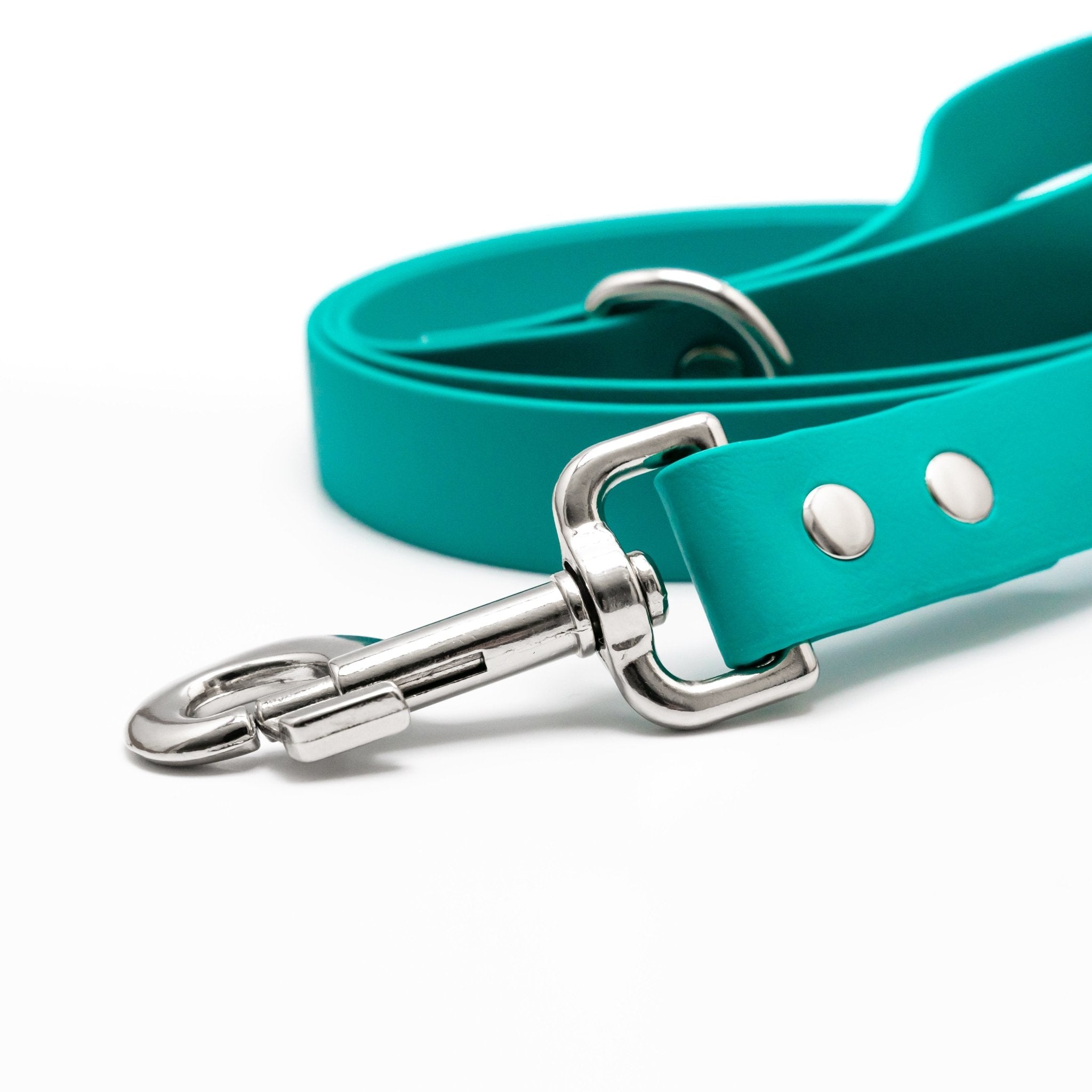 Teal hotsell dog leash