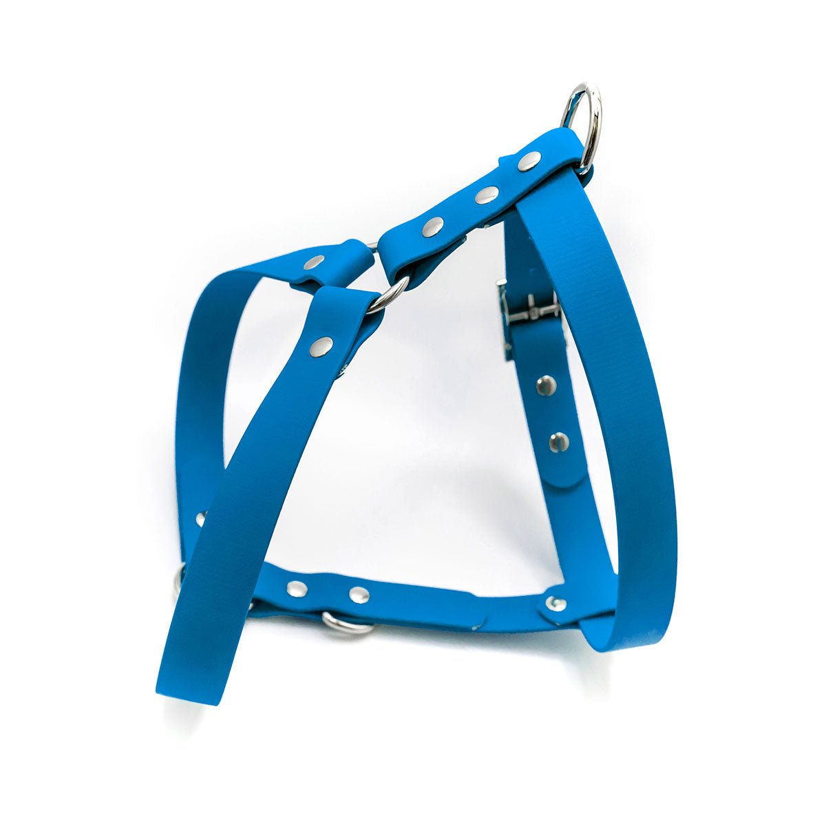 Biothane store dog harness