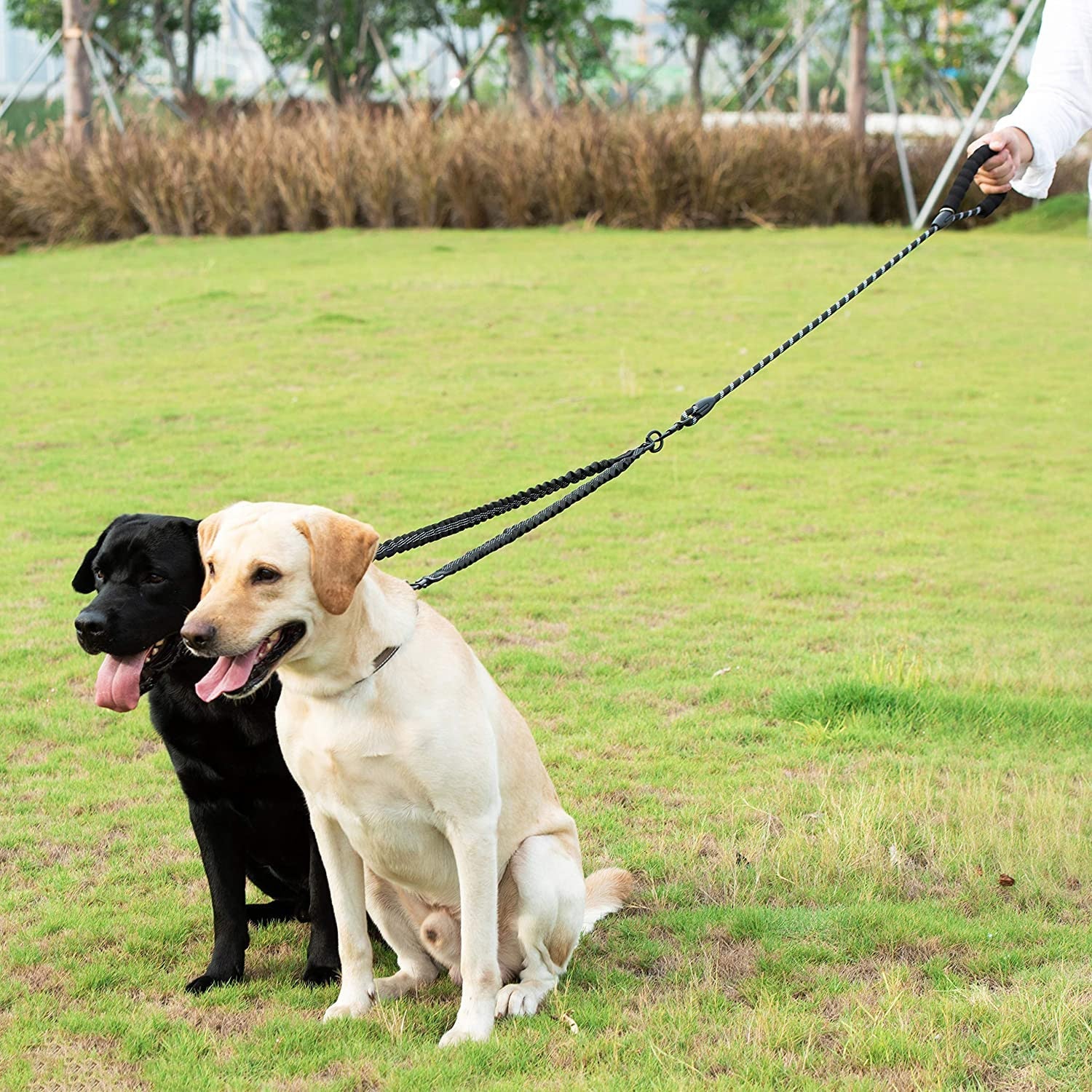 Double Dog Leash - The Barking Mutt