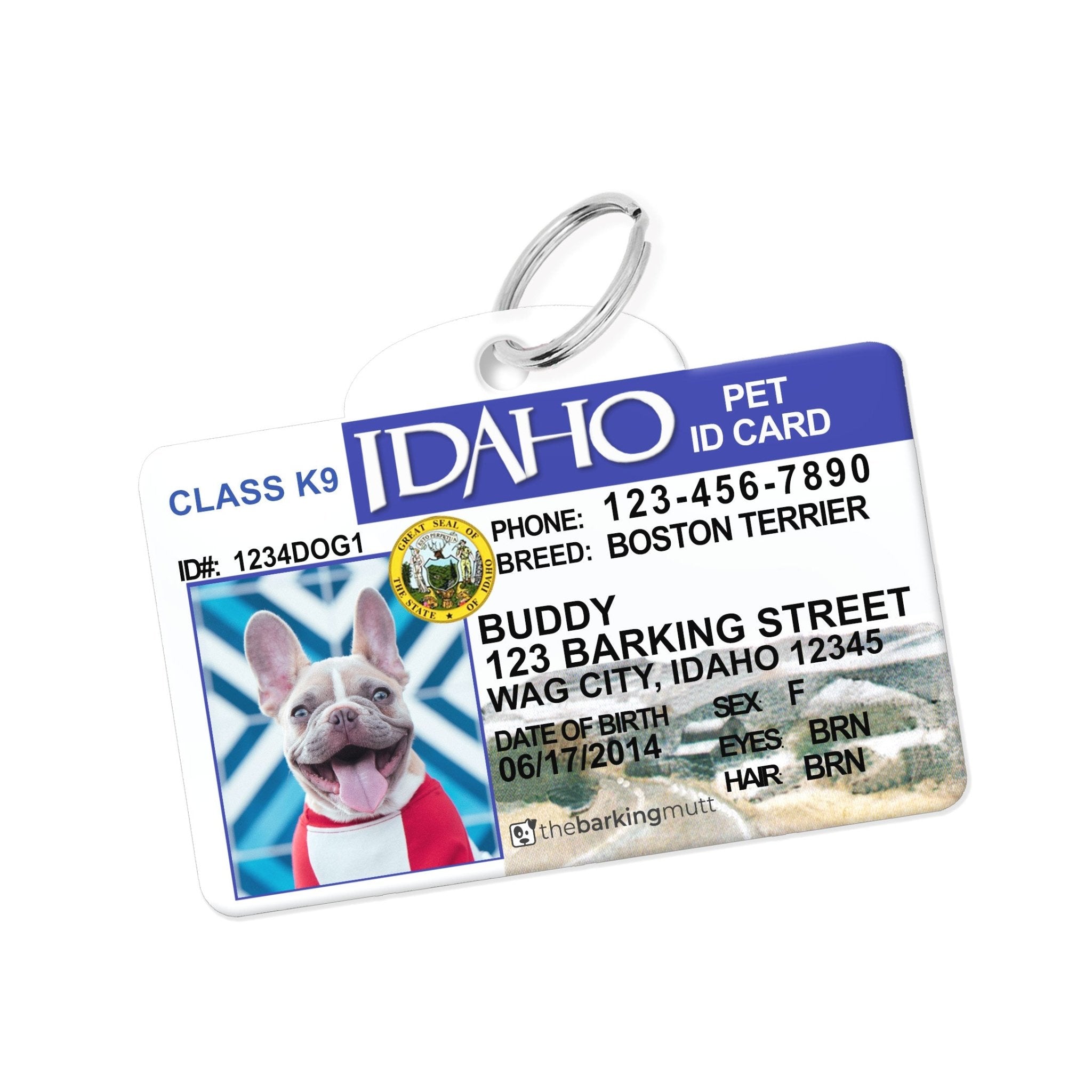 Personalized Driver License Pet Tags, Made in USA