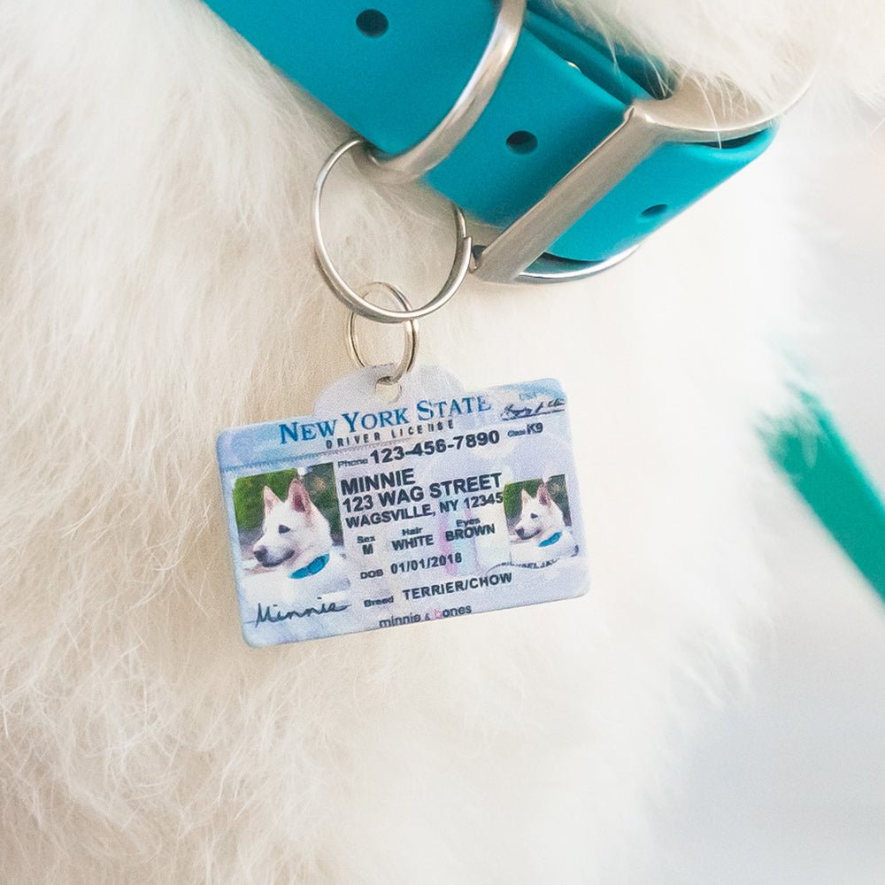 Personalized License Plate Pet Tags, Made in USA