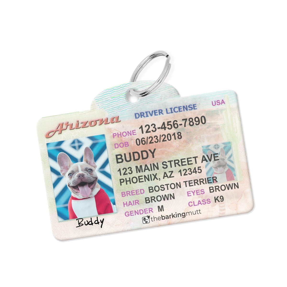 Personalized Driver License Pet Tags Made in USA The Barking Mutt