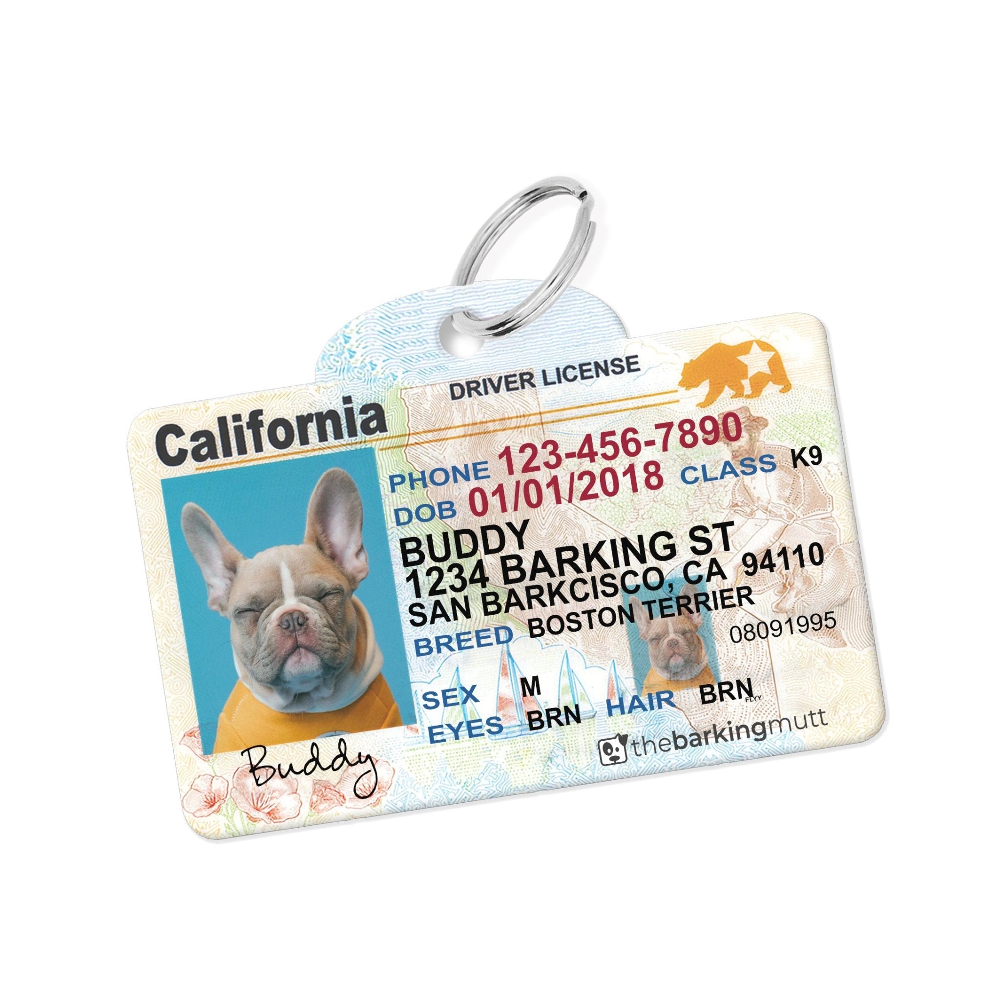 Personalized Driver License Pet Tags, Made in USA