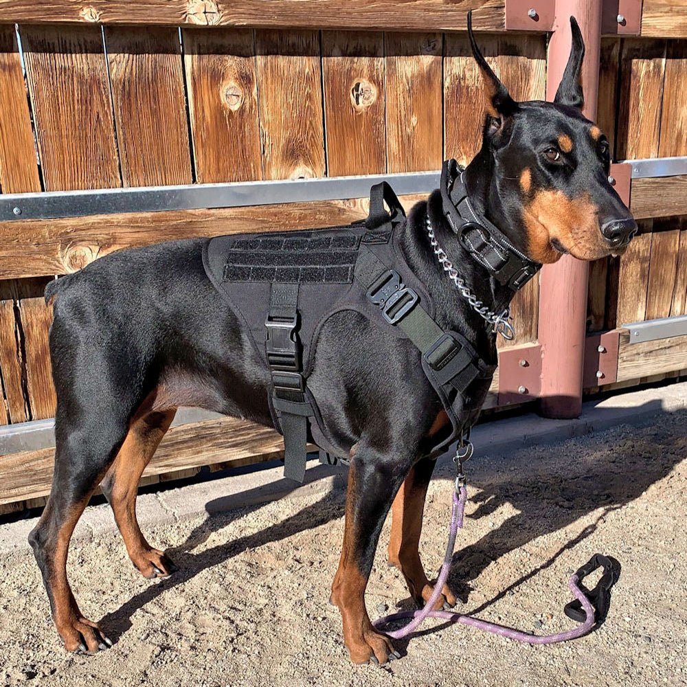 DuraHarness™ - Tactical Heavy-Duty Dog Harness - The Barking Mutt