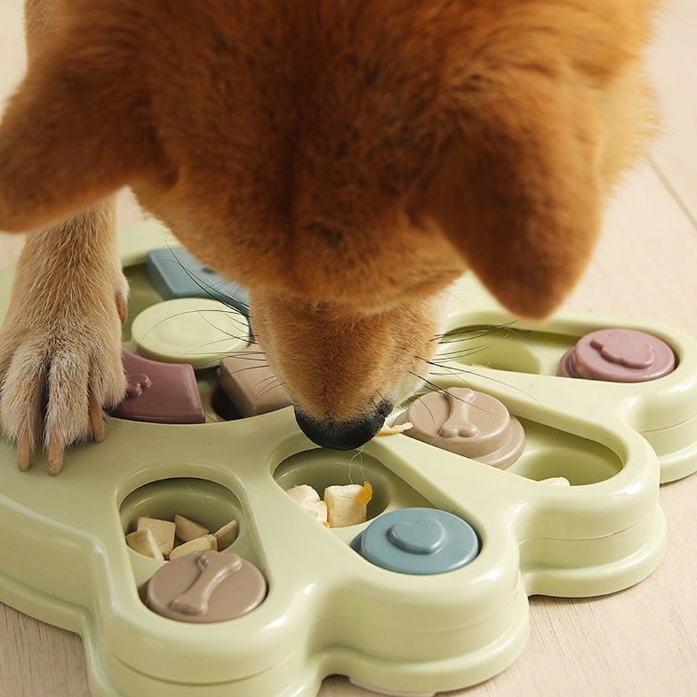 Educational Feeding Puzzle Dog Toys - The Barking Mutt