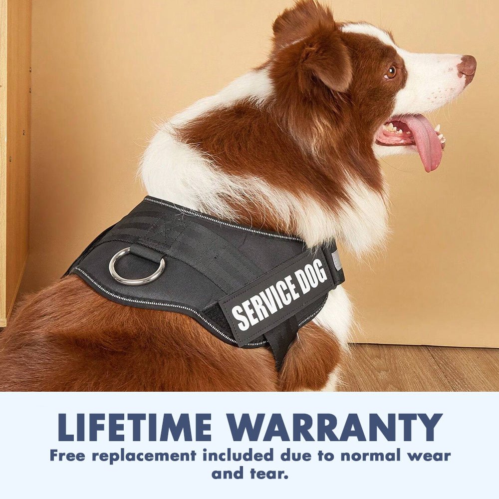 Easy slip on dog harness sale