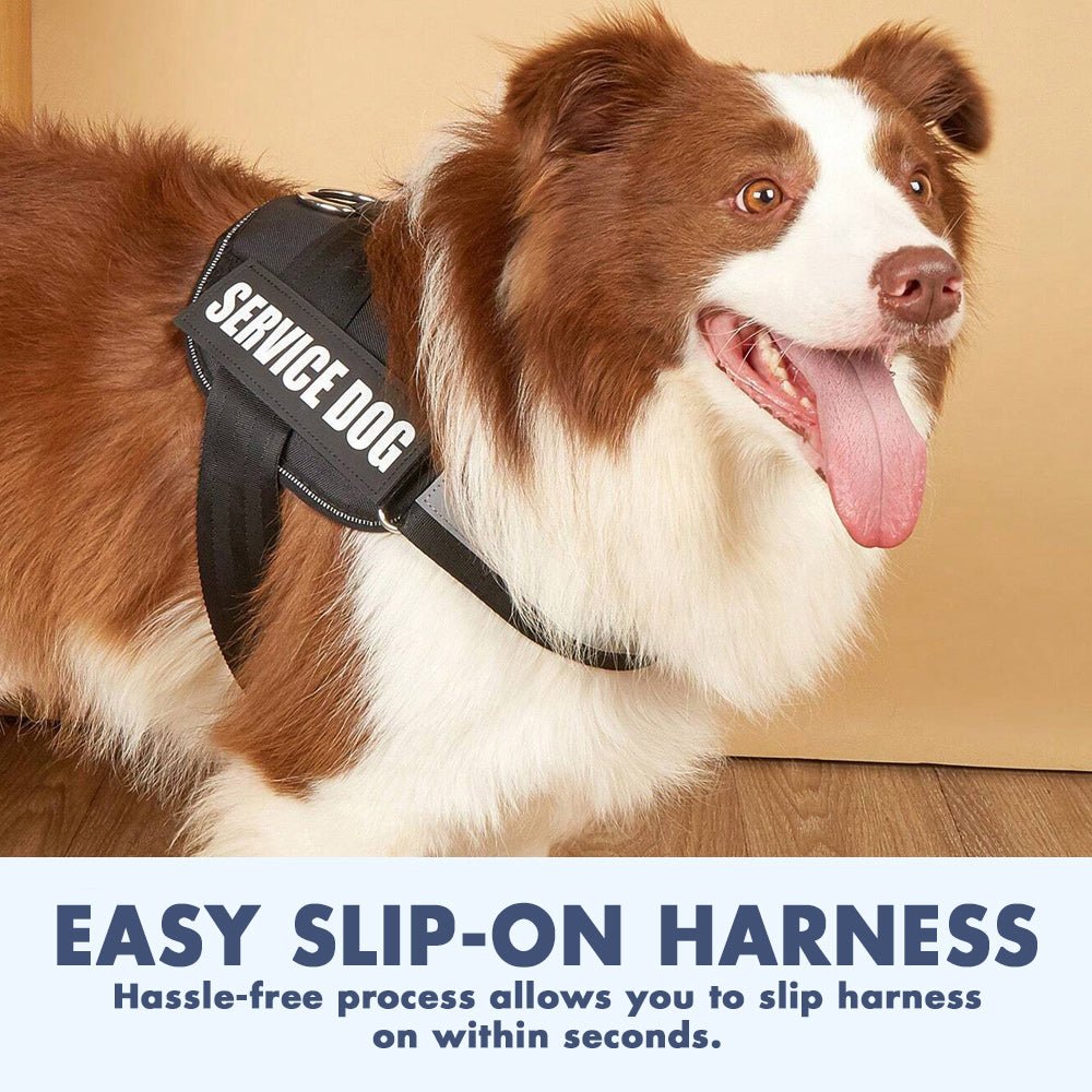EZHarness™ - Slip-On Dog Harness - The Barking Mutt