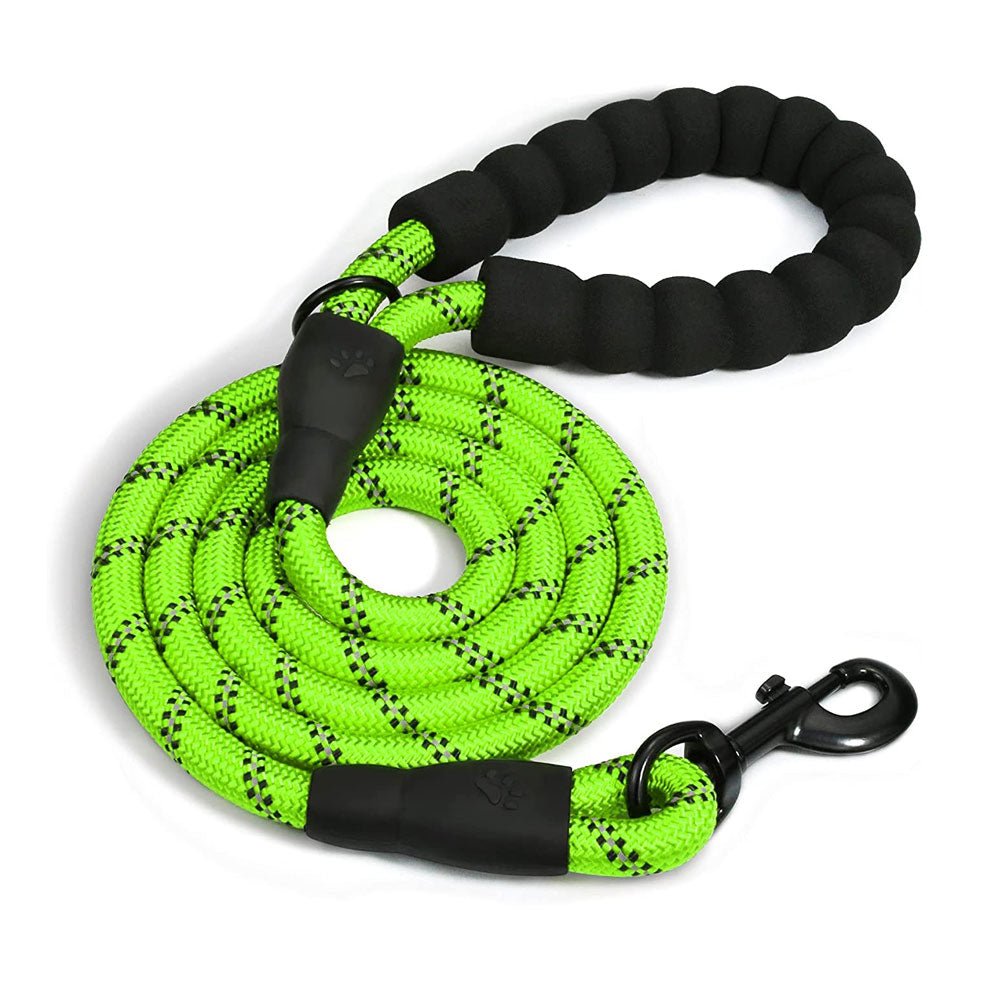 Doggy Tales Braided Dog Leash, 5-ft, Lime Green