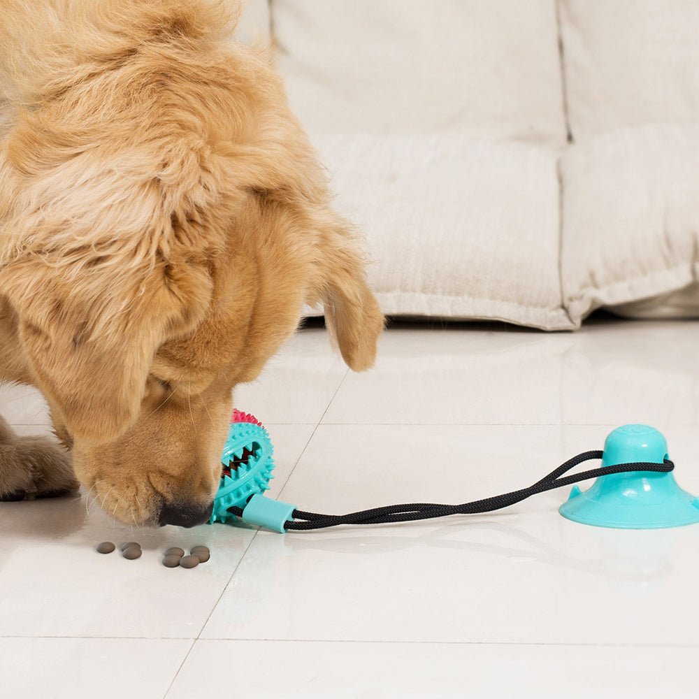 Interactive Suction Dog Chew Toy - The Barking Mutt