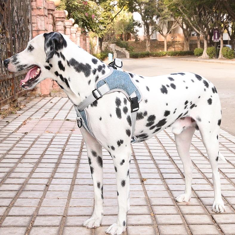 Luxe Travel No Pull Premium Dog Harness - The Barking Mutt