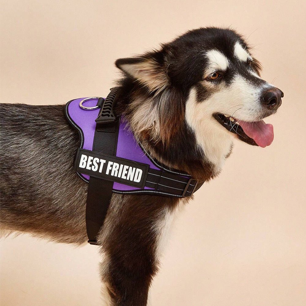 MuttHarness™ - Premium Dog Harness - The Barking Mutt
