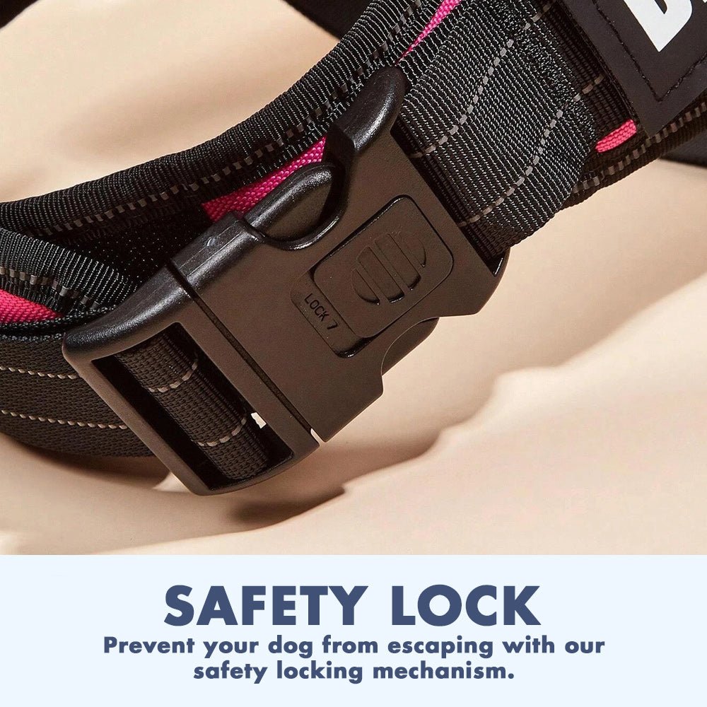 Dog lead safety clearance catch