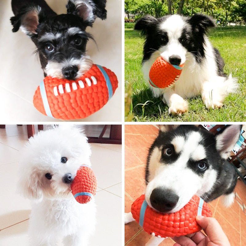 Rugby Indestructible Dog Toy - The Barking Mutt