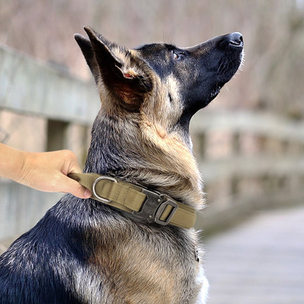 TacticalCollar™ - Military Dog Collar - The Barking Mutt