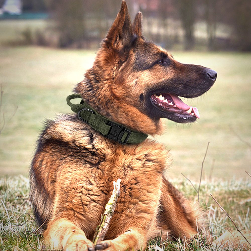 TacticalCollar™ - Military Dog Collar - The Barking Mutt